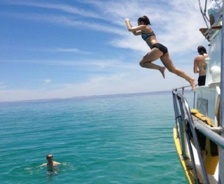  毫无恐惧地潜入水中 